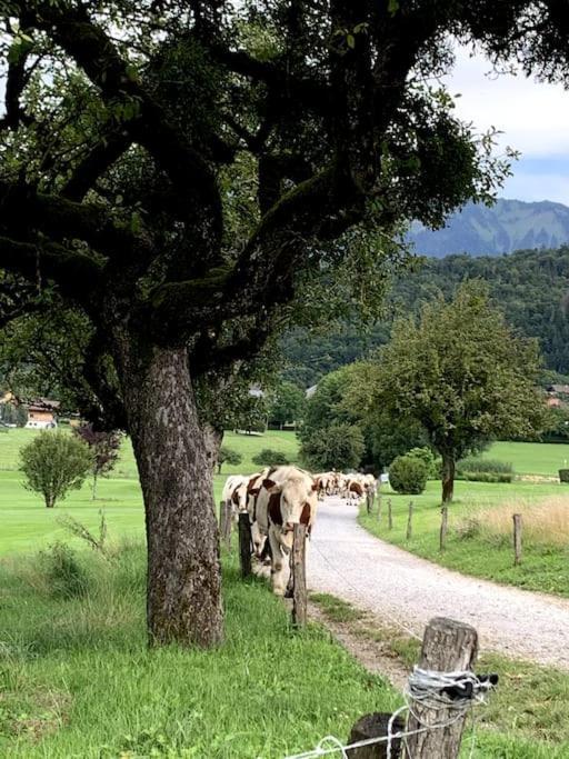 Petit cocon entre lac, golf et montagne proche d'Annecy- Séjour tout compris Giez Esterno foto