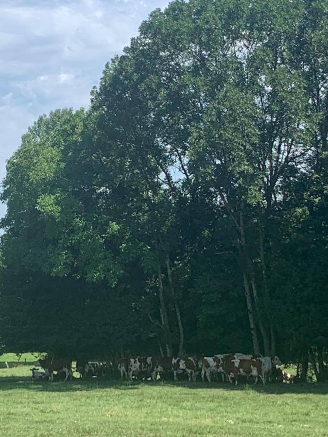 Petit cocon entre lac, golf et montagne proche d'Annecy- Séjour tout compris Giez Esterno foto